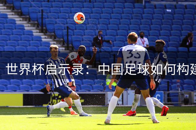 世界杯启示录：中国足球如何构建本土化发展新生态