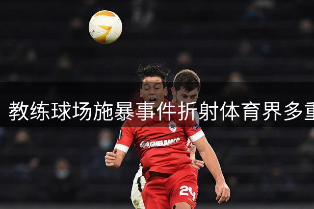 教练球场施暴事件折射体育界多重问题