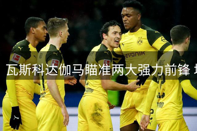 瓦斯科达伽马瞄准两大强力前锋 塔雷米成引援首选