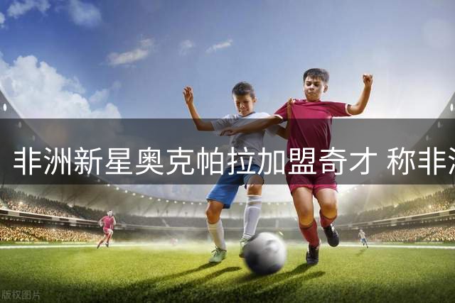 非洲新星奥克帕拉加盟奇才 称非洲篮球潜力仍被严重低估